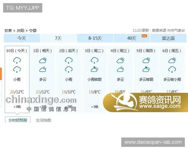 大型体育赛事预热波胆串关规则避坑防骗指南